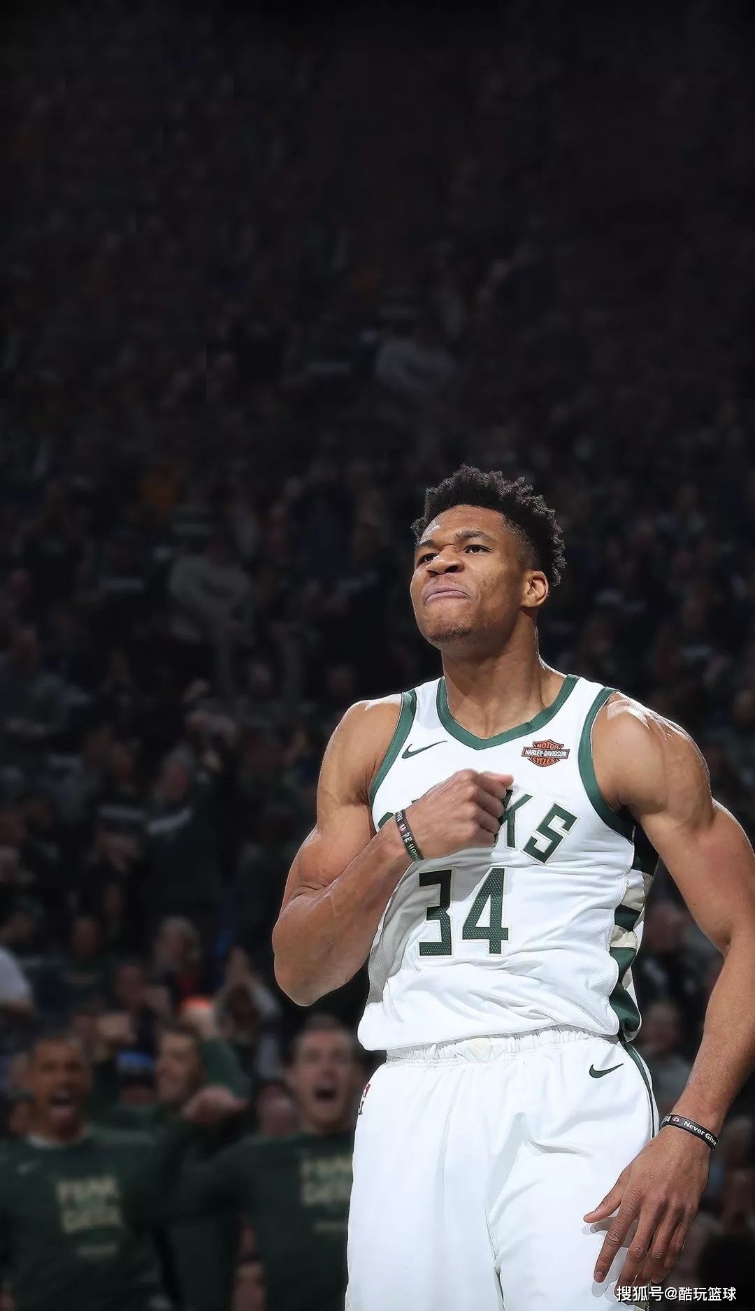 通德拉主场出现葡萄牙杯官方赞助商的竞争对手广告，被罚816欧（因主场出现葡杯官方赞助商竞品广告，通德拉被罚816欧元）